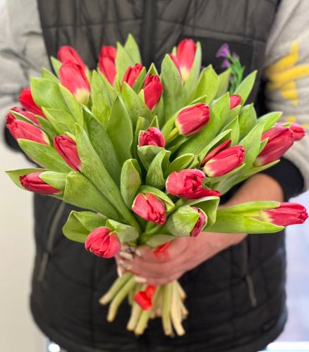 Купить букет из красных тюльпанов "Сабрина" с доставкой по Кокшамарам